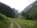 début de montée à la basse du Gerbier